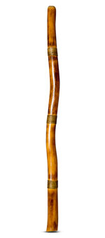 Rope & Burnt Finish Didgeridoo (TW487)